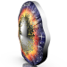 Autriche 20 euros Pièce d'argent 2024 – L'univers inexploré – Supernova