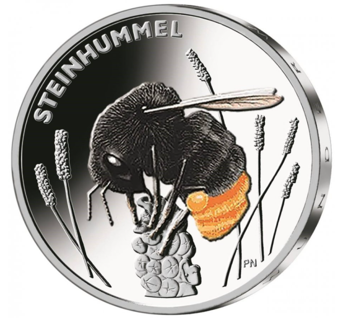 Allemagne 5 euros UNC 2024 - Le monde merveilleux des insectes - Bourdon à queue rouge