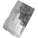 Lettonie 5 euros argent BE 2025 - Gemme