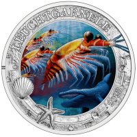 Autriche Pièce 3 Euro 2023-2 - Vie marine lumineuse - Krill antarctique