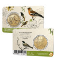 Belgique 2,5 euros BU 2022 - 100 ans de protection des oiseaux en Belgique  - NL