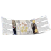 Belgium coffret euro BU 2026 - folklore belge - Ommegang/processions