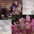 Irlande coffret euro BU 2020 - Fleurs sauvages irlandaises en voie de disparition