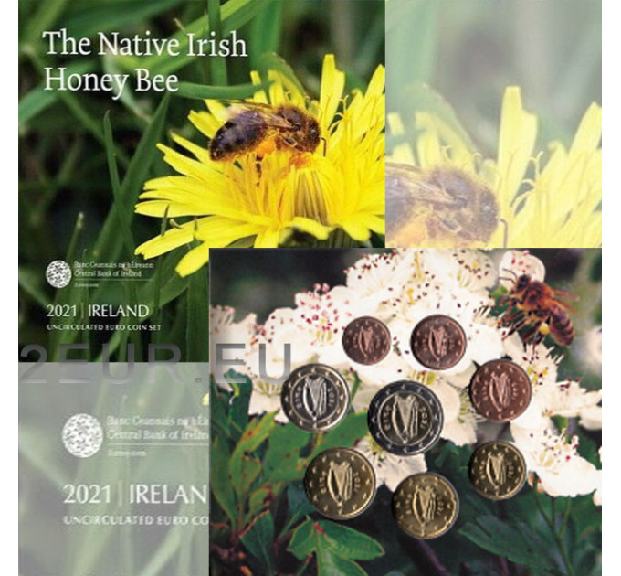 Irlande coffret euro BU 2021 - L'abeille irlandaise indigène
