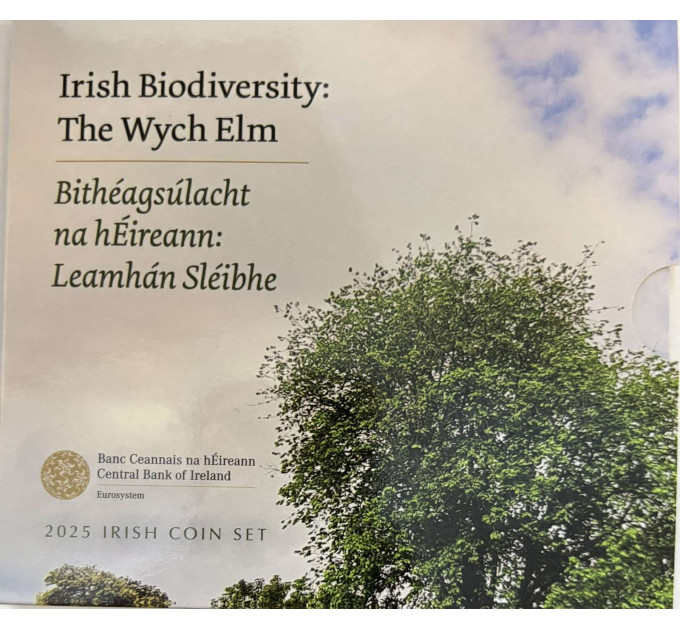 Irlande coffret euro BU 2025 - Biodiversité – l'orme de montagne