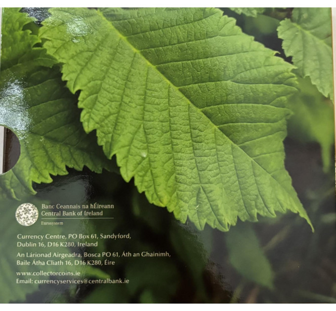 Irlande coffret euro BU 2025 - Biodiversité – l'orme de montagne